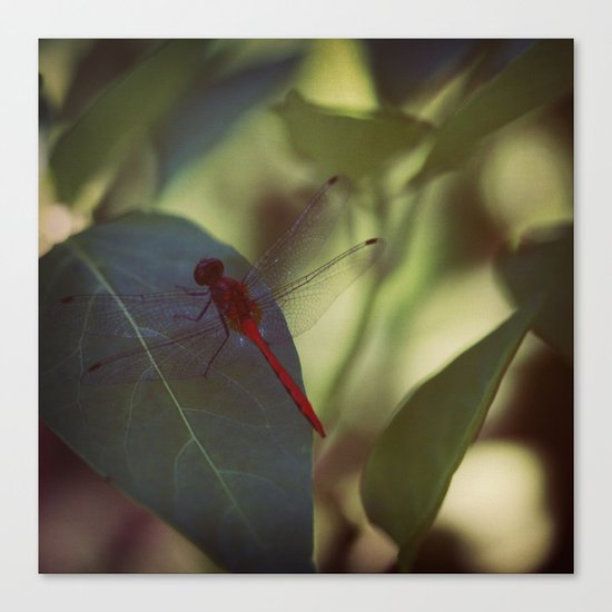 In the Green Canvas Print