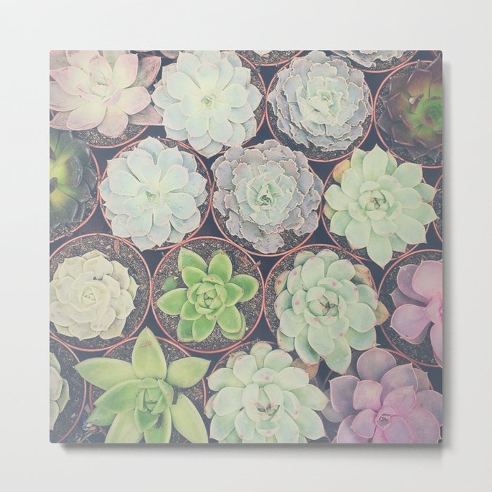 Succulents Have My Heart Metal Print