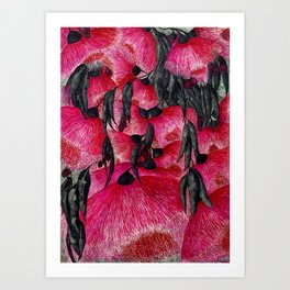 Gum Blossoms with a Twist Art Print