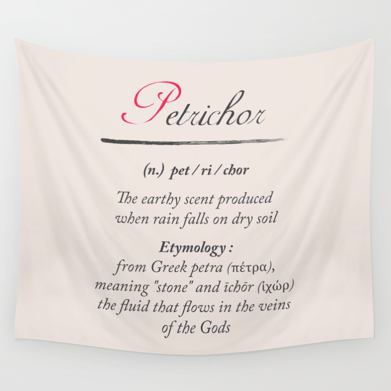 Petrichor Dictionary Definition Word Meaning Illustration