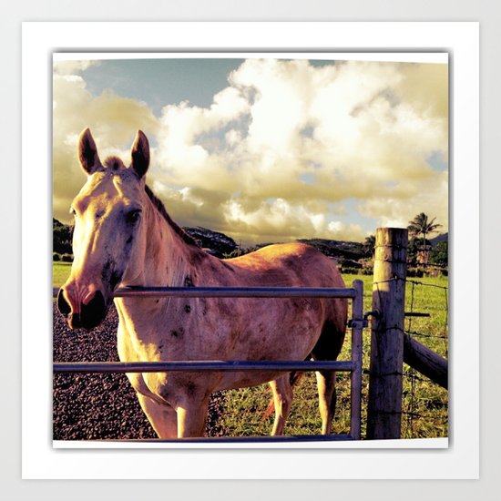 Ronin Horse, Warrior Brother Art Print