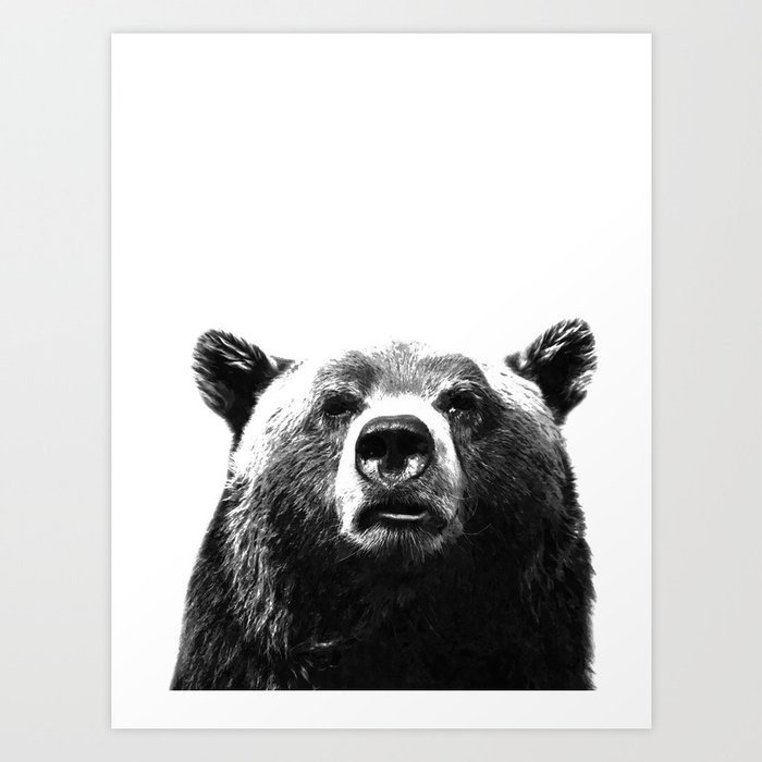 Black and white bear portrait Kunstdrucke Black and white bear portrait Kunstdrucke