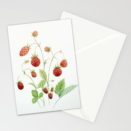 Wild Strawberries Stationery Card