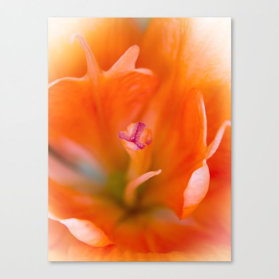 Lily Flower Closeup Canvas Print