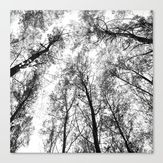 "Up in the air" Canvas Print