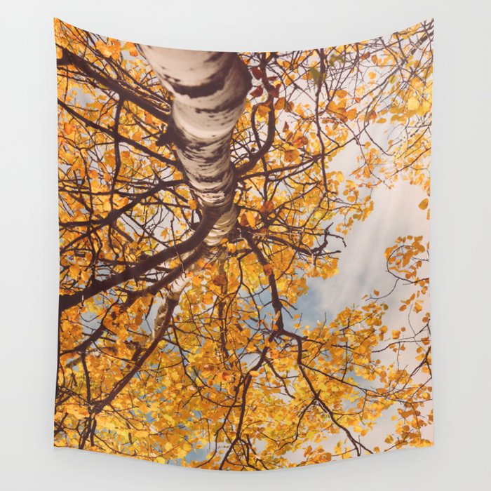 Beneath the Autumn Birch Tree - maine nature photograph Wall Tapestry