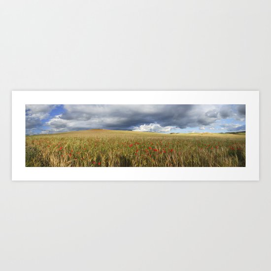 Poppies under the clouds Art Print