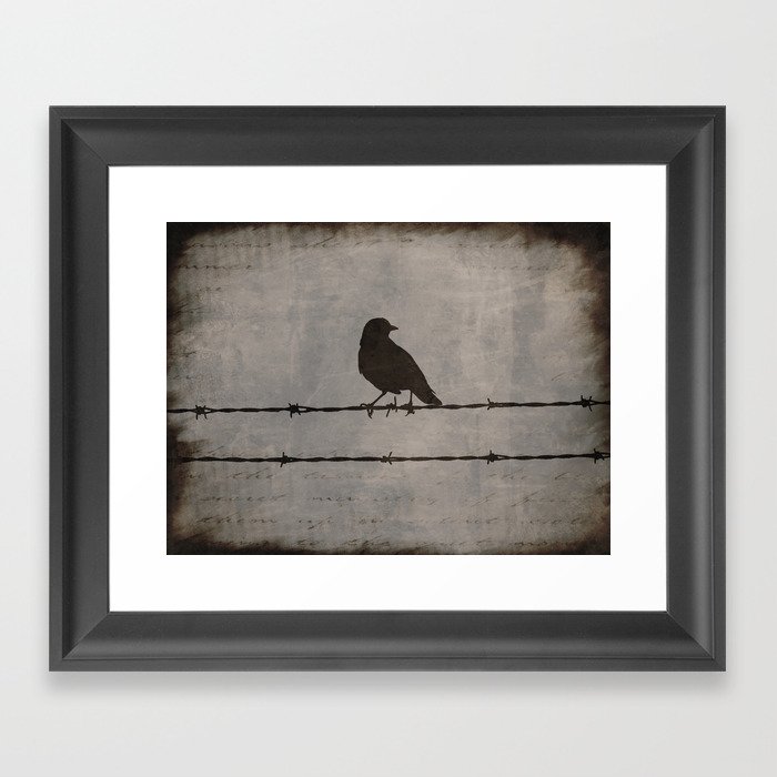 Rustic Black Bird Barbed Wire Modern Country Home Decor Art Matted Picture A476 Framed Art Print