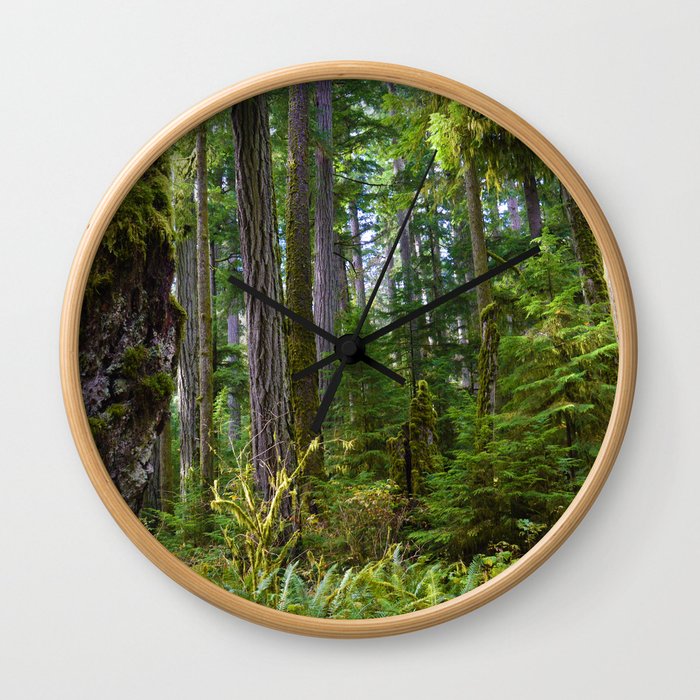 Cathedral Grove, Vancouver Island BC Wall Clock