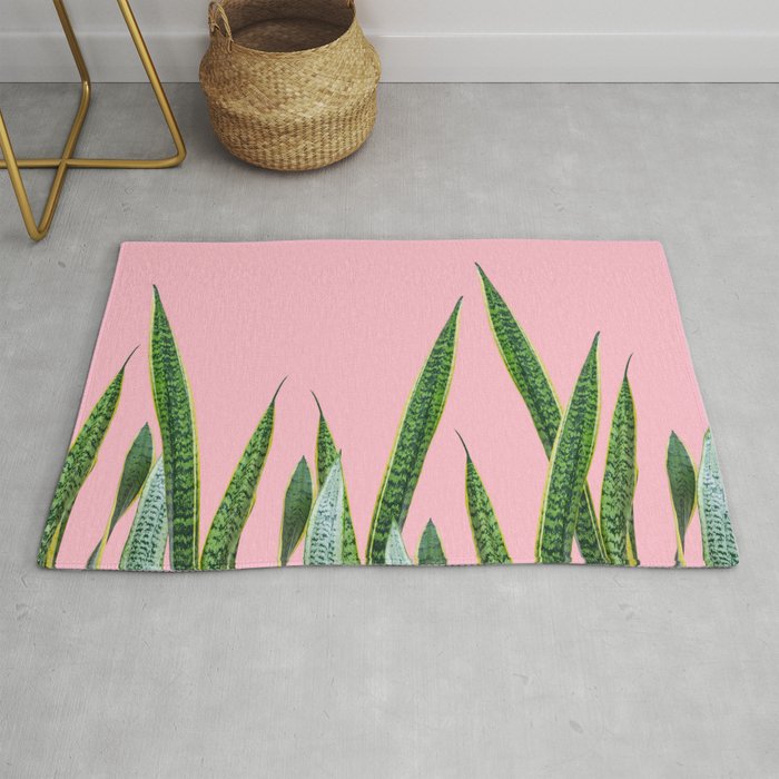 Snake plants with pink Rug