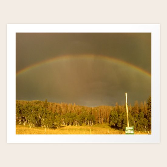 Morrison Creek Art Print