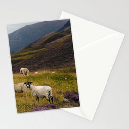 Braemar Sheep Stationery Card