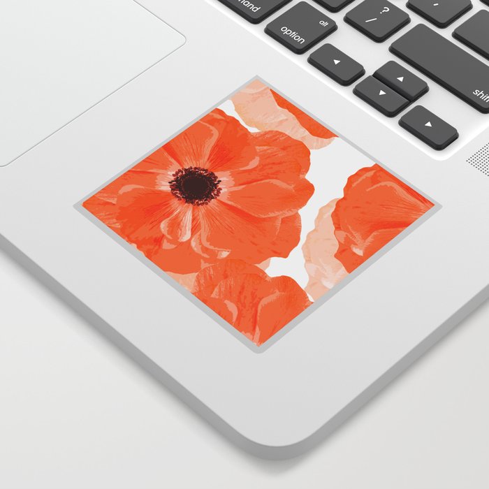 Beautiful Coral Color Flowers White Background #decor #society6 #buyart Sticker