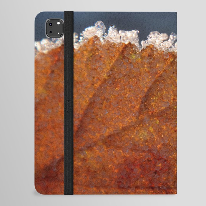 Frozen autumn by Denise Dietrich iPad Folio Case