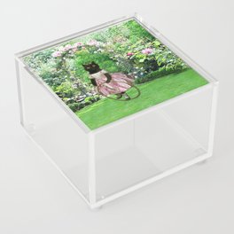 Roxy Acrylic Box
