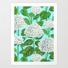 White watercolor hydrangea on blue Art Print