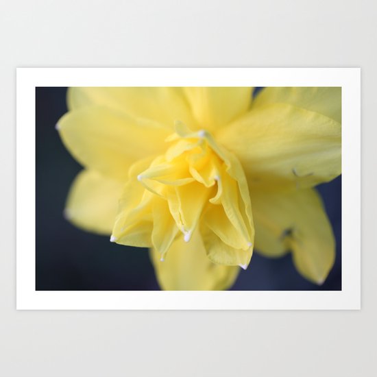 Spring am I... Art Print