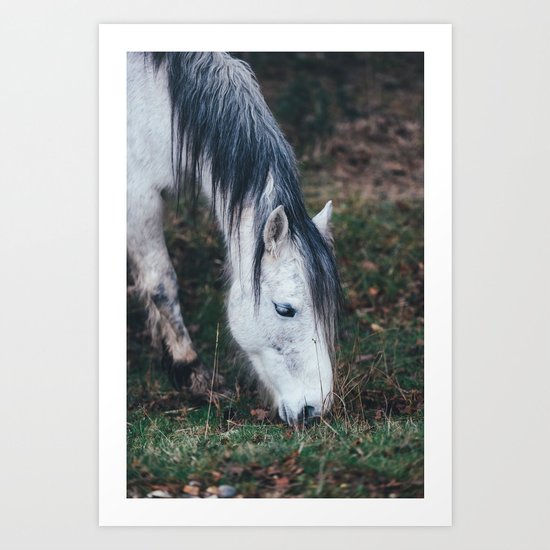 Gentle horse Art Print