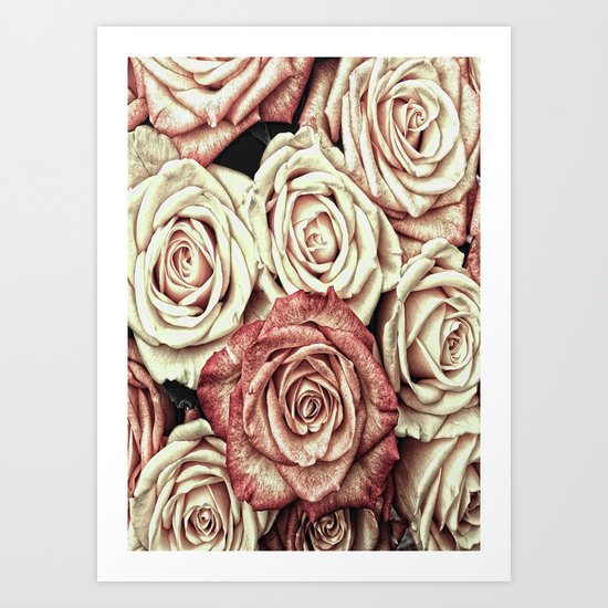 A Bed of Roses Art Print