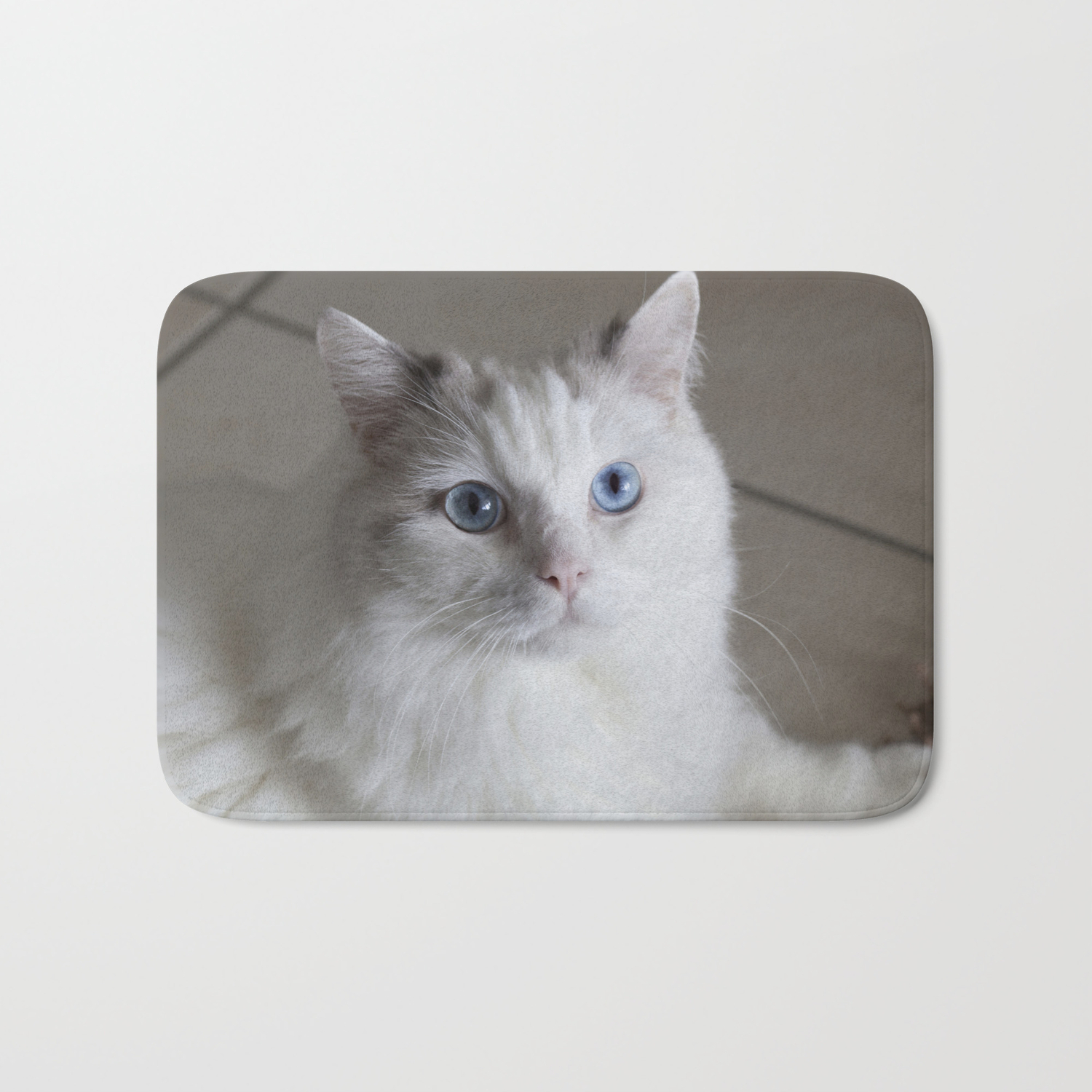 ragdoll eyes