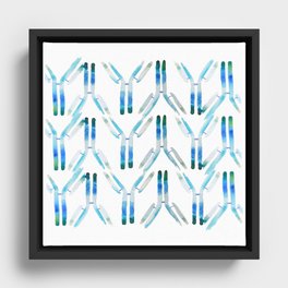 IgG Antibody, Science Art Framed Canvas