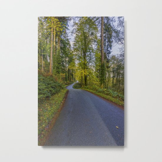 Take Me Home Metal Print