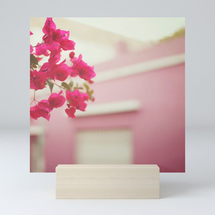 Bougainvillea Mini Art Print