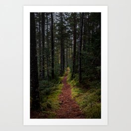 Path Through the Woods Art Print