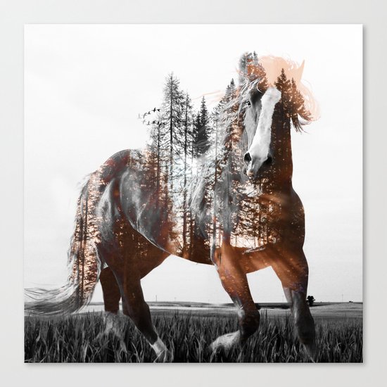 Sunset Rider Canvas Print
