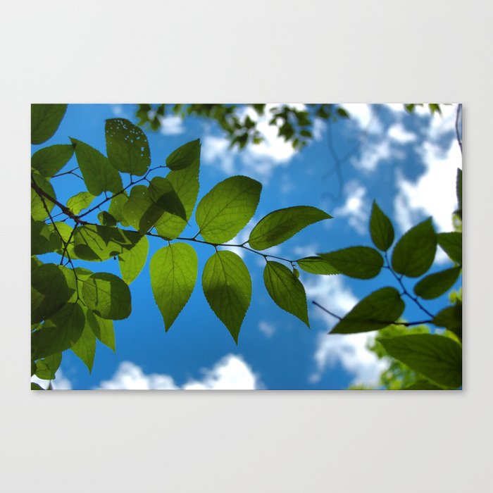 Underneath Canvas Print