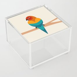 Retro Rainbow Parrot Acrylic Box