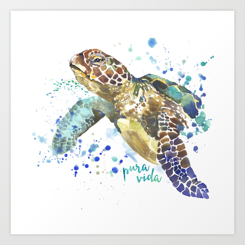 turtle pura vida