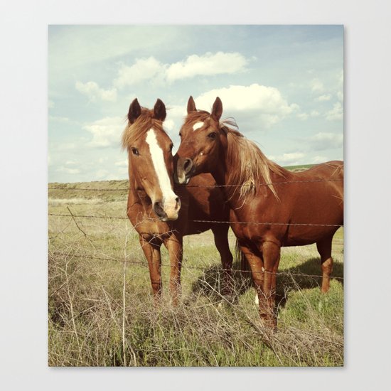 Horse Affection Canvas Print