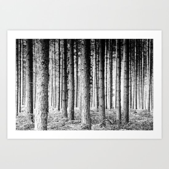 Pine forest Art Print
