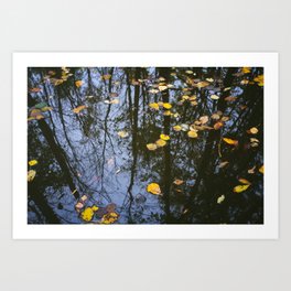 Rest and Reflect Art Print