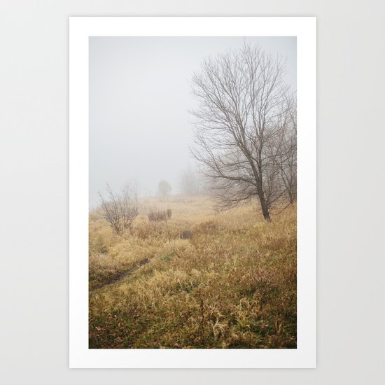 Autumn Fog 2 Art Print