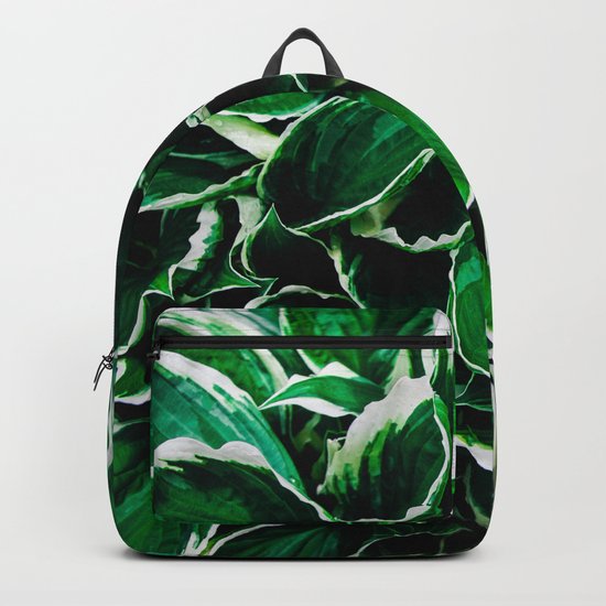 Hosta undulata albomarginata vibrant green plant leaves Backpack