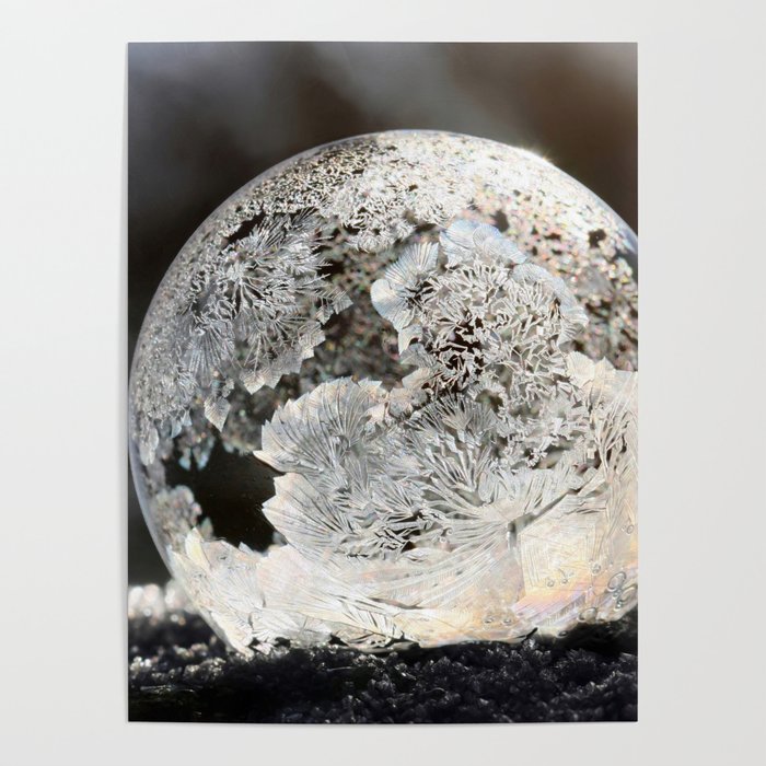Frost Ice Crystal Bubble in Early Morning Sunshine color photography / photographs by Daniela Rapava Poster