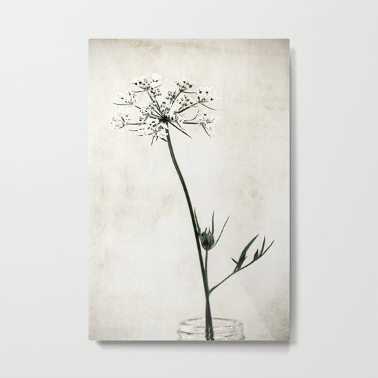 lace Metal Print