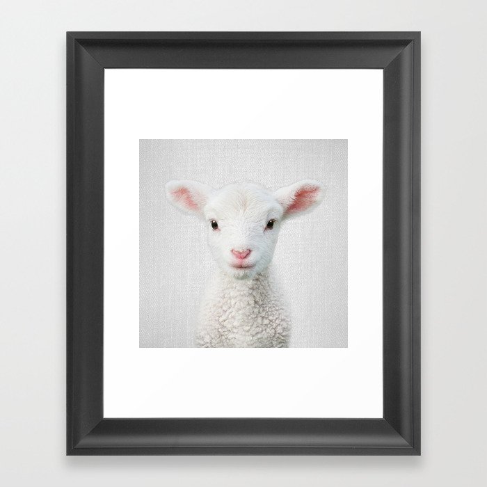 Lamb - Colorful Framed Art Print