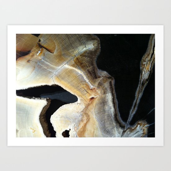 Ravine Art Print