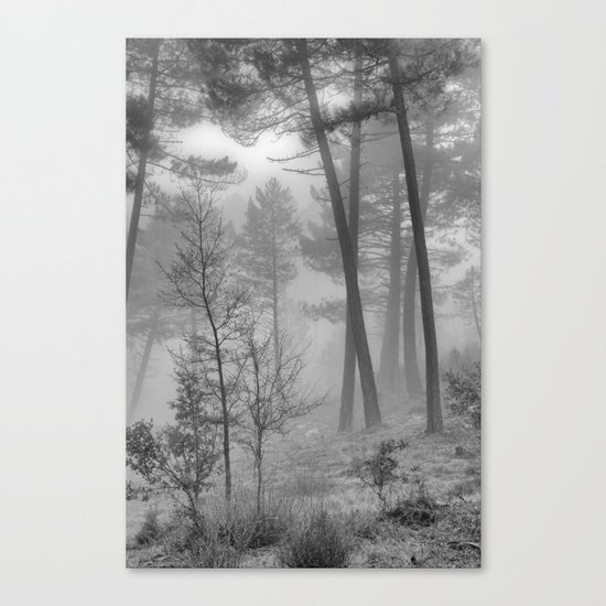 "Into The Woods" Dream Forest II Canvas Print
