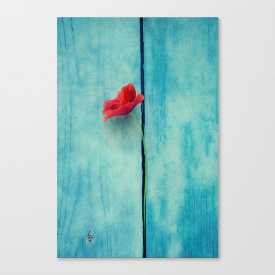 papoula Canvas Print
