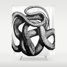Snake | Snakes | Snake ball | Serpent | Slither | Reptile Shower Curtain