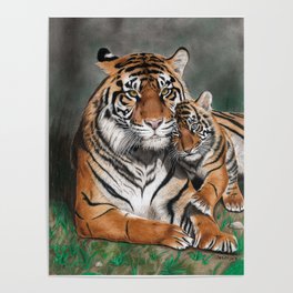 A Tigress with a Tiger Cub in Love - Colored Pencil Drawing Poster