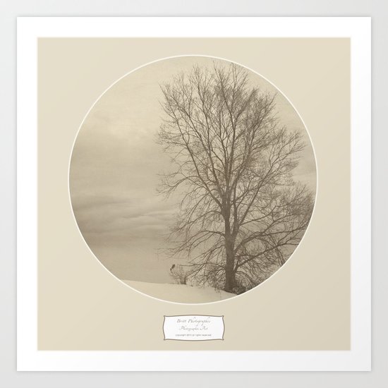 Winter Americana III Art Print