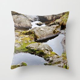 Lake shore and rock in autumn Throw Pillow