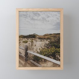 Cape Cod national park Framed Mini Art Print