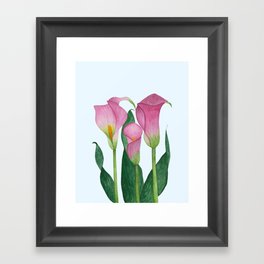 Pink Calla Lily Trio Framed Art Print
