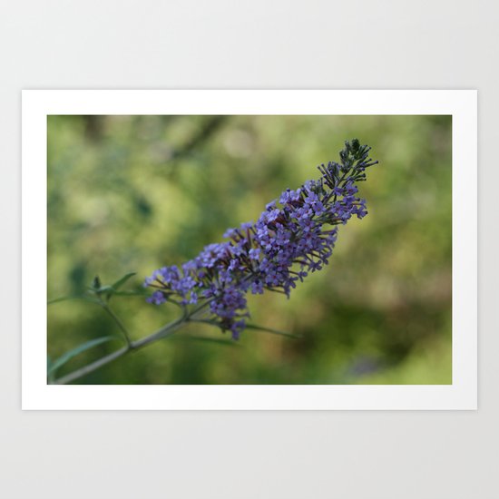 Flowers Art Print